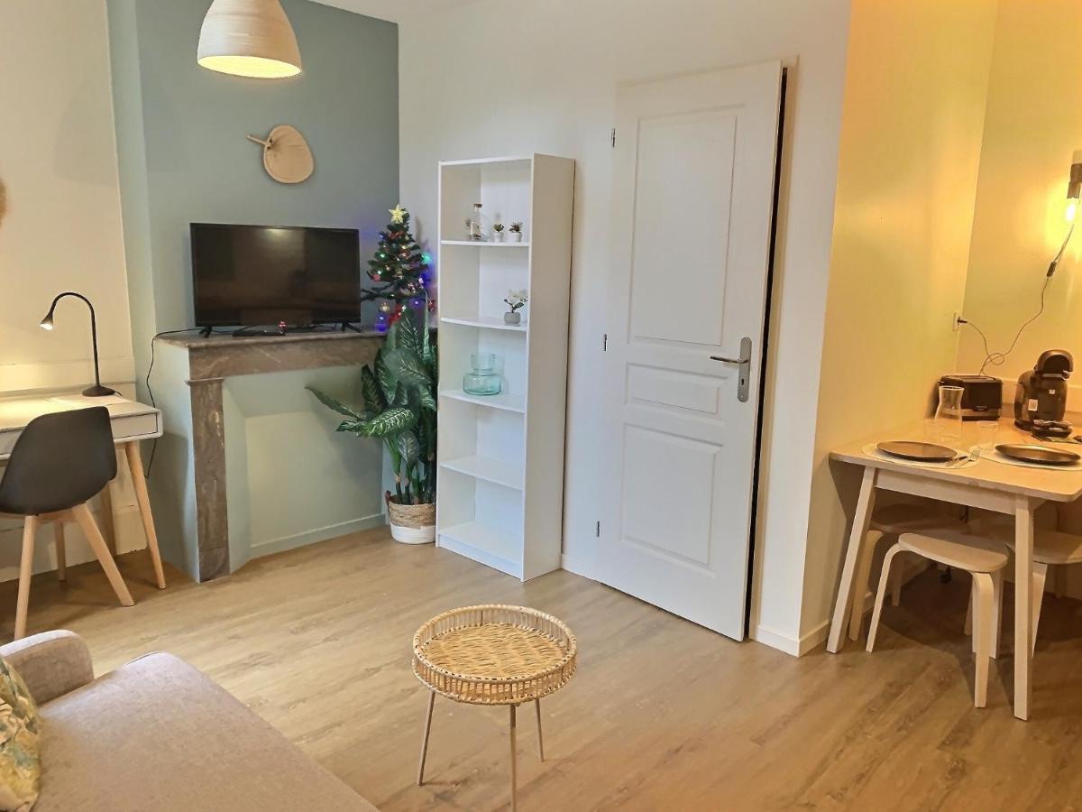 Apartmán Le Dumon 2 - T2 Avec Garage - Terrasse - Wifi - Gare A 200M Agen Exteriér fotografie